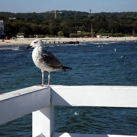 Bema 6 * Sopot